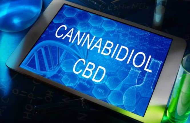 cannabinoil cbd kiosk image