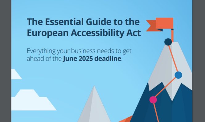 European Accessibility EAA Guidelines & Storm Interface